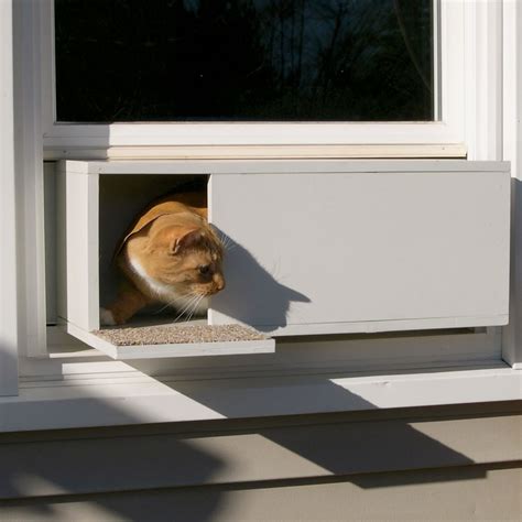 Cat Doors for Interior Doors: Providing Easy Access for Feline Friends